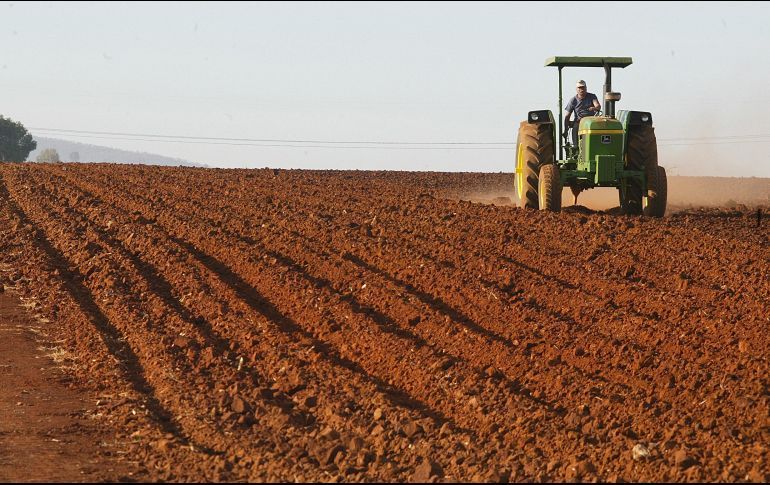 Niegan acuerdo con EU sobre importación de productos agropecuarios